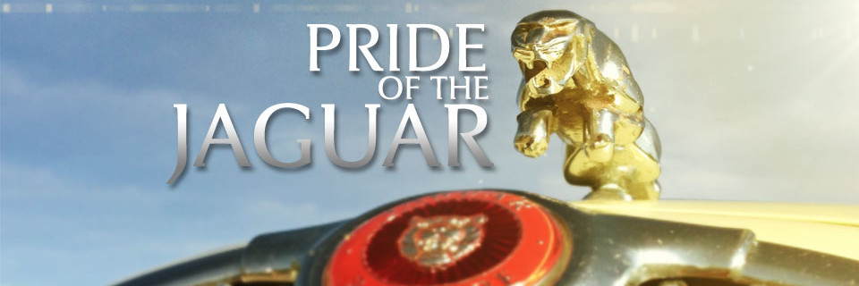 Pride of the Jaguar